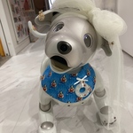 【スタイ】夏だ！プールだ！aibo ちゃんの　浮き輪スタイ