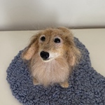 zinnnosuke3様専用