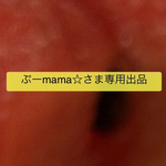 ぷーmama☆さま専用出品