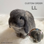 【オーダーメイド】【LLサイズ】羊毛フェルト　うさぎ　ペット　うちの子　オーダー　ぬいぐるみ　人形　プレゼント　ギフト