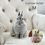 【オーダーメイド】【Mサイズ】【送料無料】羊毛フェルト　うさぎ　ペット　Custom　ミニチュア　プレゼントやギフトにも♪ 