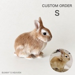 【オーダーメイド】【Sサイズ】【送料無料】羊毛フェルト　うさぎ　ペット　Custom　ミニチュア　プレゼントやギフトにも♪ 