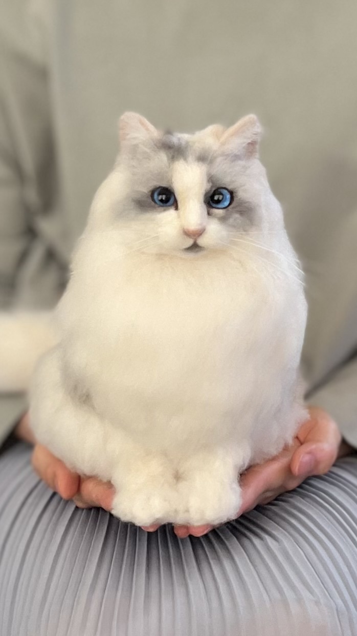 オーダー】羊毛フェルト うちの子 猫 エキゾチック キジトラ