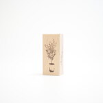 ＊アンティークolive・Botanical series＊【10026】