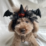 ジャックオーランタン🎃のカチューシャ