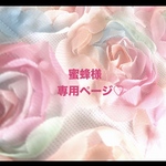 ❤️蜜蜂様専用ページ❤️