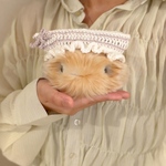 こねこアイス ストロベリー しましま