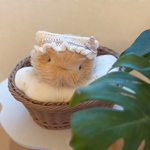 こねこアイス ストロベリー 
