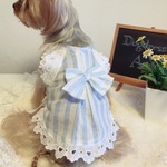犬服オーダー　ストライプ　ブルーフレンチワンピース