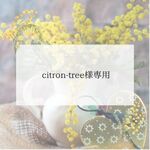 ciitron-tree様専用　グランディディエライトのブレスレット　グランディディエライト　14kgfブレスレット　ブルーグリーン　高級感　ギフト