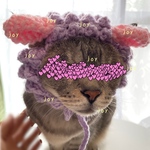干支.未年.雌羊.正月.新年.1月.ニット帽.猫.被り物.コスプレ.毛糸