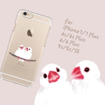 白文鳥 iPhoneケース(クリア)　X/XS/XSMax/XR/8/8Plus/7/7Plus/6s/6sPlus/6/6Plus/5s/5c/SE
