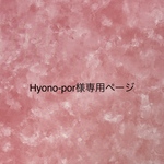 Hiyono-por様専用ページ