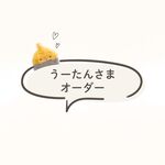 専用ページ　オカメインコの大きいもふもふポーチ　ルチノー