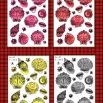 minne限定まるごとイチゴオリジナルコラージュ素材/ハードシェル4種セット/各1枚