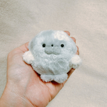 ①ふくふくワモンアザラシさん