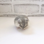 羊毛フェルト　くしくし中のまんまるハムスター（ブルーサファイア）