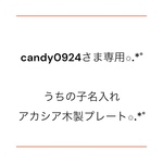 candy0924さま専用ページ✩.*˚うちの子名入れアカシア木製プレート