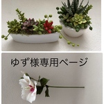 クレイフラワー　多肉植物　木槿