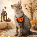 ペット用ハロウィンミニショルダー　猫さん犬さん