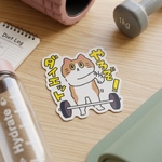 「やるぞ！ダイエット！」ステッカー 🐾