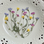青の花達②（押し花)