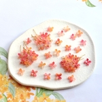 新作★8mm  金木犀・紫陽花 アセテート お花パーツ オレンジ、ピンク、レッドグラデーション