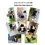 ロビンクリアファイル８枚セット　Robin A4 file folder 8piece set