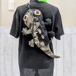 【新作】じゃ～ん！トカゲdeBodyバッグ　黒野deniman