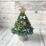 森のミニクリスマスツリー　プリザーブドフラワー(高さ約20cm)