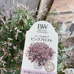 0さま専用ページ