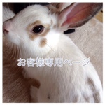 kaorin8521様専用ご注文ページ