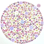 小花MIX 226 押し花 素材