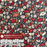 nyan5438様専用　リバティヨークブラウス  