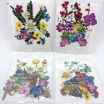 New＊押し花　花材　ミニパック　4セット9