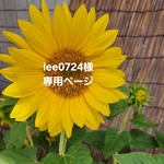 lee0724様専用ページです。