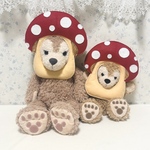 犬用❤︎顔出しシリーズ❤︎きのこ🍄