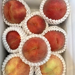 今季最終の桃品種【幸茜】と【さくら白桃】をお楽しみくださいませ。
