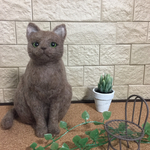 ココア色のお座り猫ちゃん