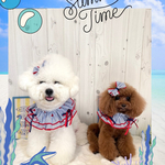 限定商品💙❤️ブルーレッドストライプスタイ