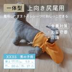お留守番パンツ XXXS【男の子用_上向き尻尾用】シトラスオレンジ■意匠登録取得済
