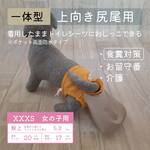 お留守番パンツ XXXS【女の子用_上向き尻尾用】シトラスオレンジ、ポケット両面防水タイプ■意匠登録取得済：うんちまみれ対策、老犬介護、お留守番、食糞対策