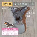 ポケット取外式_お留守番パンツ DM【女の子用_ダックス用】グレーフライス■意匠登録取得済：うんちまみれ対策、老犬介護