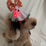 お化けのカチューシャ👻(ライト点滅するよ💡)