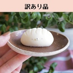 【訳あり品】もちもちごまふぅ〈餃子〉