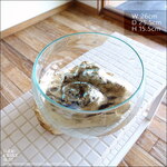 フラワーベースDome 花瓶 メダカ鉢 めだか鉢 プリミティブガラスベース 吹きガラス 手作り 一点物 自然な様