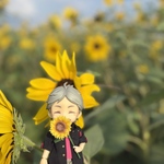 ミニチュアヒマワリ