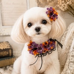 可愛く大変身！ペット用ハロウィンチョーカー&髪飾り 無料ラッピング ペットアクセサリー 犬用アクセサリー  ペット撮影グッズ 記念日フォト ペットリングドッグ 犬結婚式 トリミングアクセ