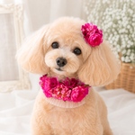 濃いピンクのお花ペットチョーカー&ヘアクリップ 無料ラッピング ペットアクセサリー ペットファッション 犬猫アクセサリー 犬撮影会 わんこアイテム お花チョーカー 犬ヘッドドレス犬結婚式 記念日フォト