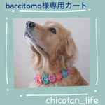 ⭐︎ baccitomo様専用カート⭐︎他の方のご購入はお控えください